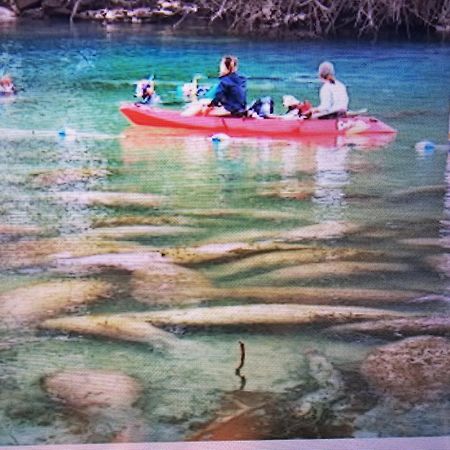 Manatee Watch Den Apartment Crystal River Bagian luar foto