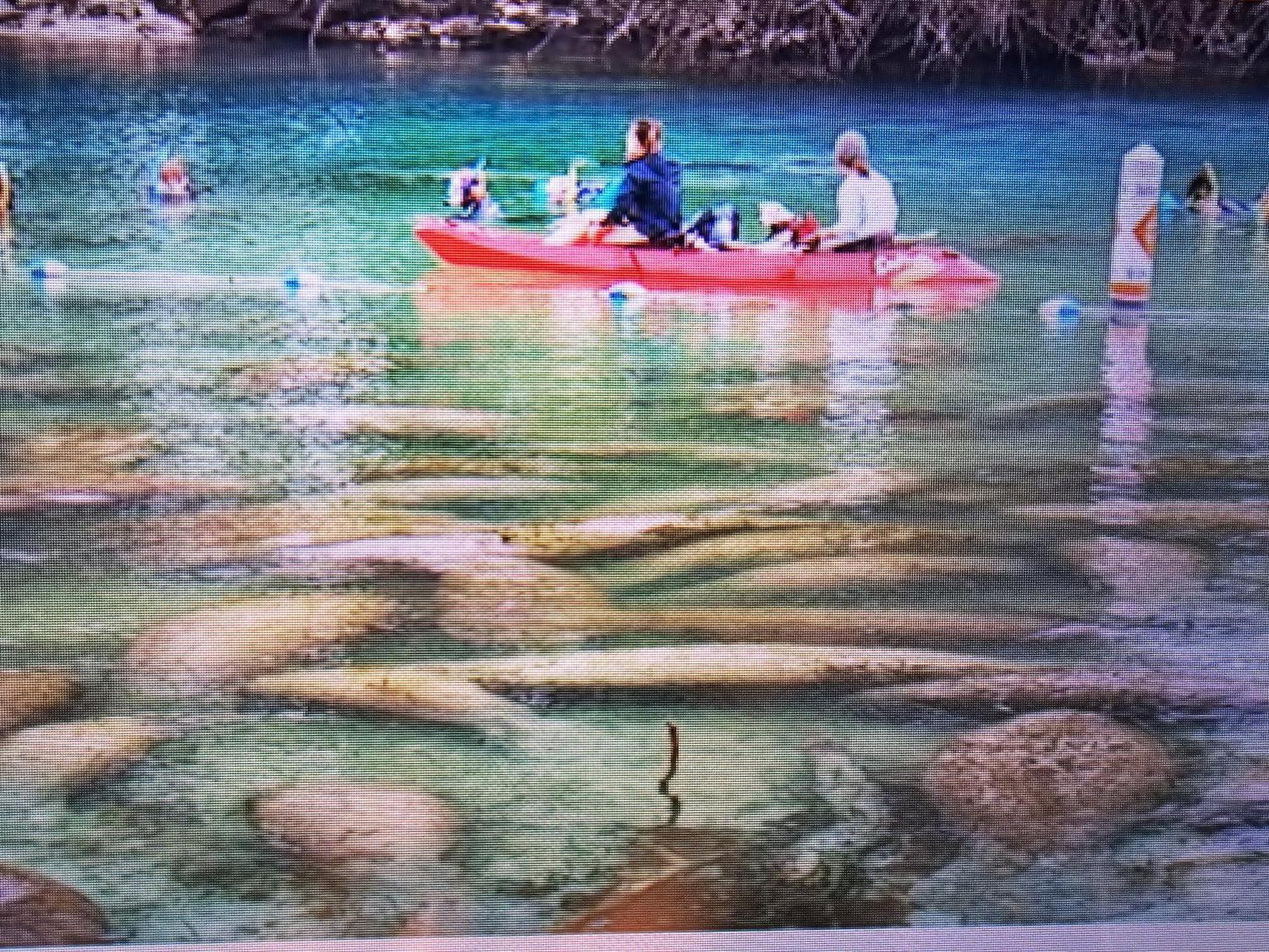 Manatee Watch Den Apartment Crystal River Bagian luar foto
